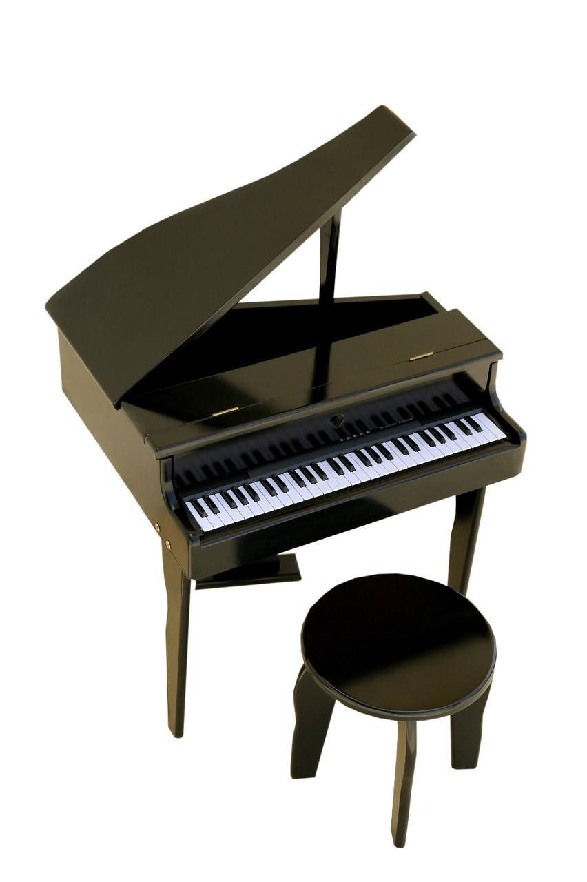 اسباب بازی موزیکال کودک با پدال تغییر صدا