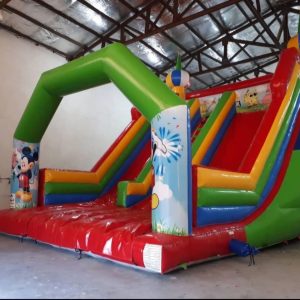 سرسره بادی دولاین طرح D شادلین - ارتفاع ۹ متر